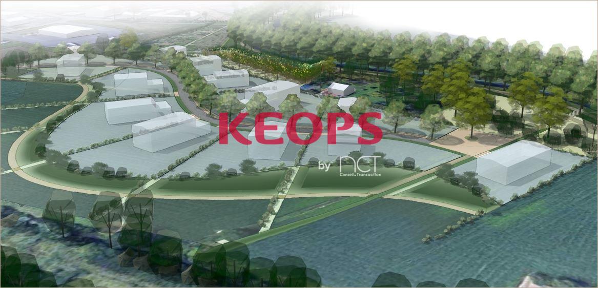 Terrain - 31320 CASTANET TOLOSAN