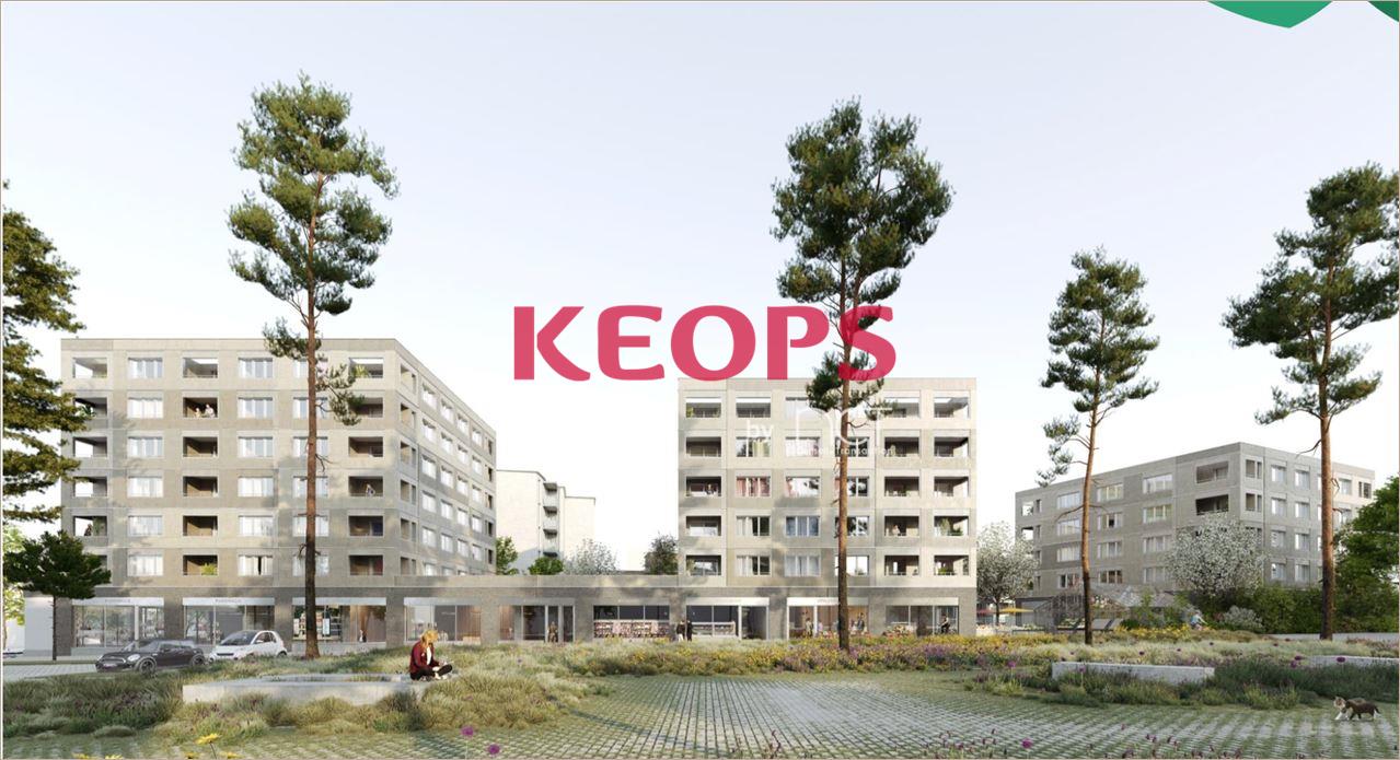 Commerce/boutique - 31400 TOULOUSE