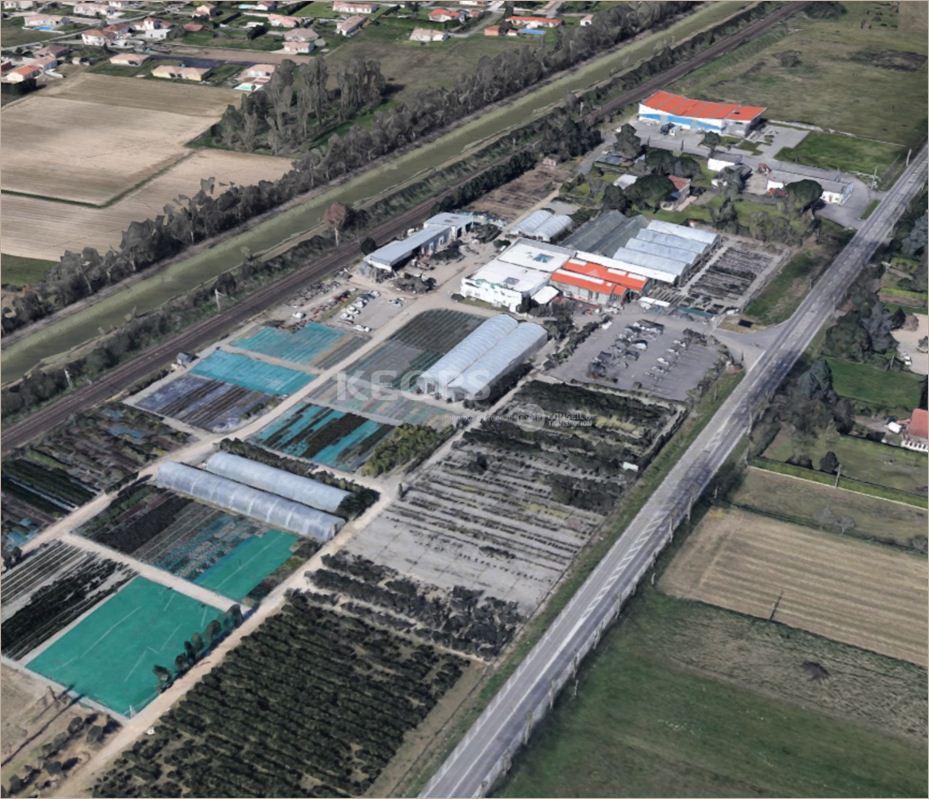 Terrain - 31790 SAINT JORY